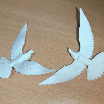 Пара горлиць із фільму Один вдома (голуби)